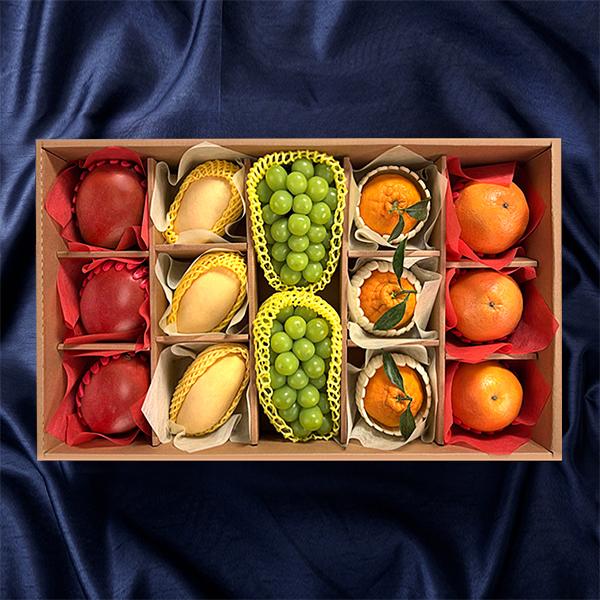 [푸른농원]프리미엄 혼합 과일 선물세트 1호~5호