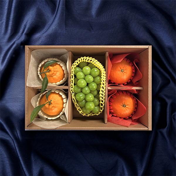 [푸른농원]정담 혼합 과일 선물세트 1호~5호