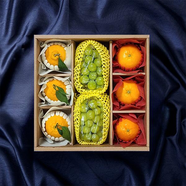 [푸른농원]알찬 혼합 과일 선물세트 1호~3호