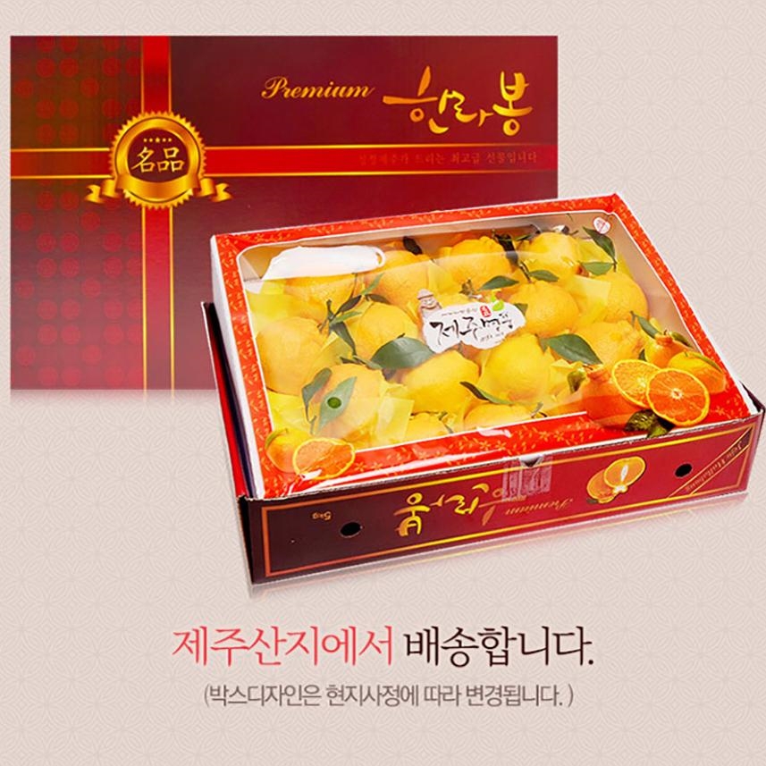 [푸른농원]한라봉 선물세트 2.5kg/4.5kg 중소과/중과/대과/특대과