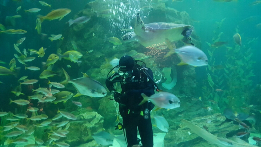 울진 아쿠아리움 메인 이미지