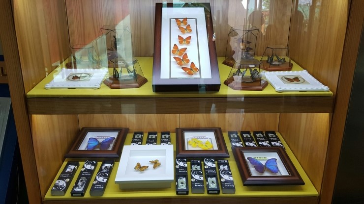 울진 곤충여행관 메인 이미지