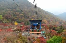 정읍 내장산개발(주)