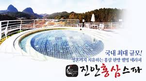 진안 홍삼스파
