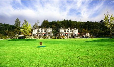 강원 홍천 토마토 펜션