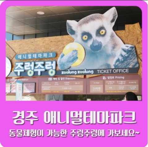 경주 주렁주렁 메인 이미지