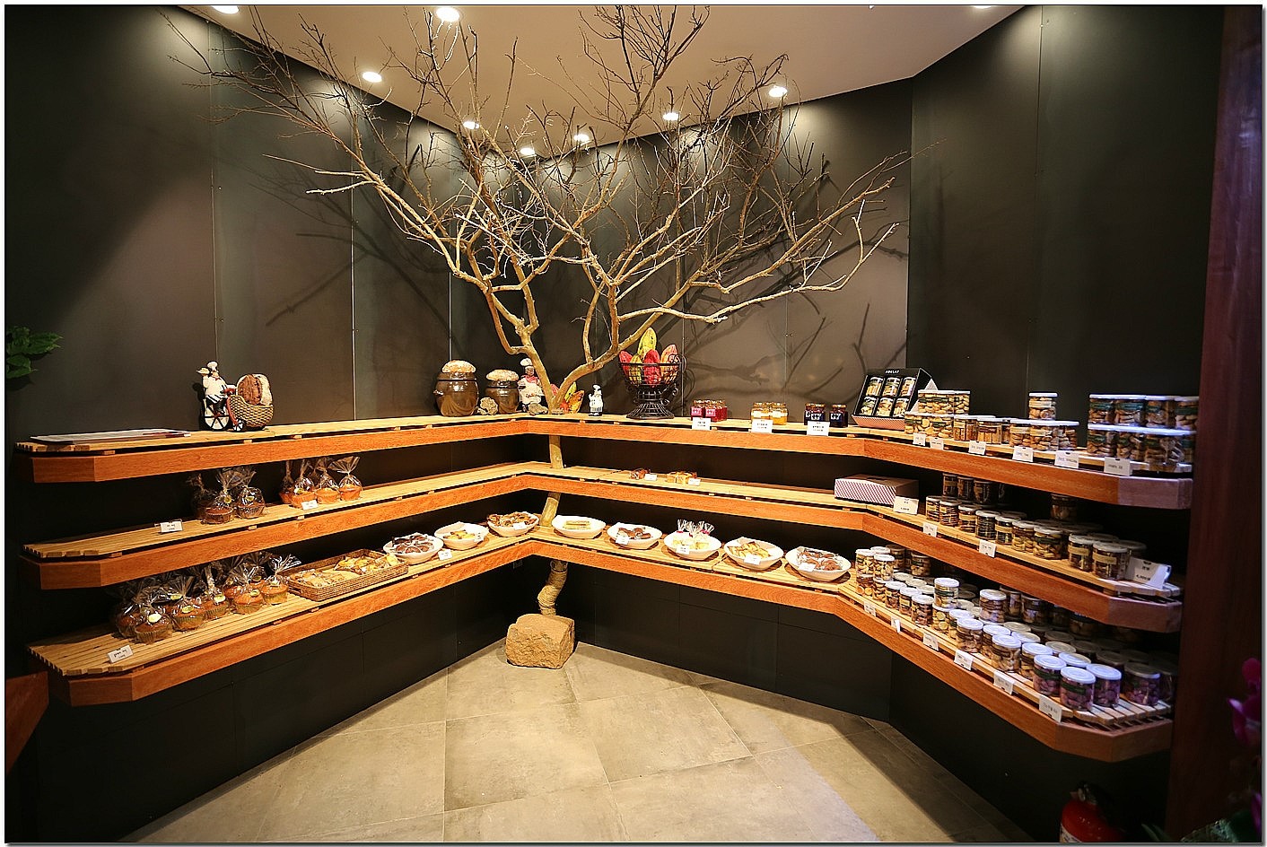 아델라7 메인 이미지