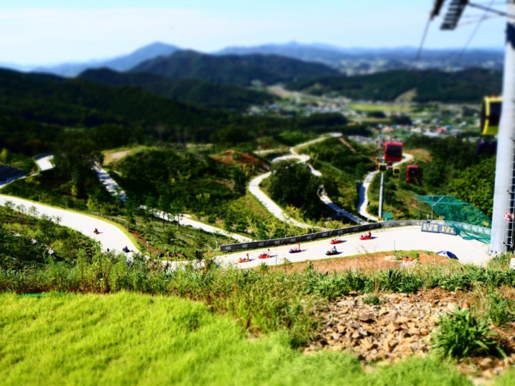 강화씨사이드리조트(강화루지) 메인 이미지