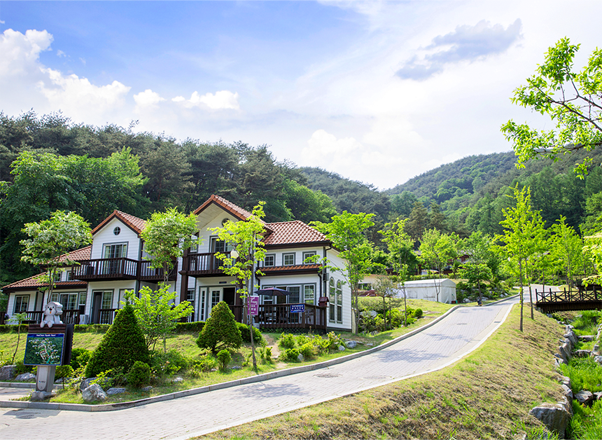 아쿠아틱 리조트 메인 이미지