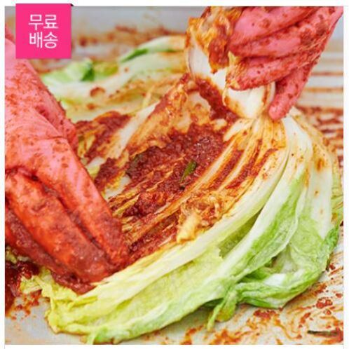 [HACCP] 간편한 김장 절임배추 양념속 4kg~8kg (절임배추 10kg~20kg용/4-10포기용)