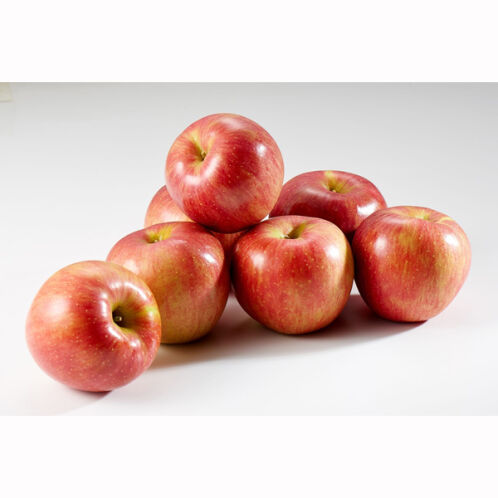 [25년 햇사과] 꿀사과_햇 부사_2kg(중과) [9과내외]