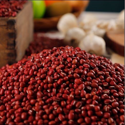 [25년_햇 국산팥 1kg] 토실토실 국산 팥 1kg