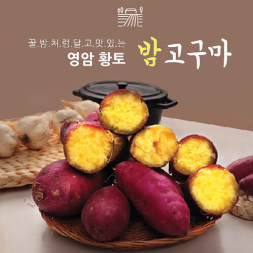 [영암 황토] 베니하루카 햇 꿀밤 고구마 3kg (특대/특상/중하)