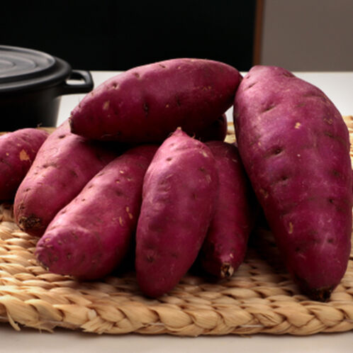 [영암 황토] 베니하루카 햇 꿀밤 고구마 3kg (특대/특상/중하)