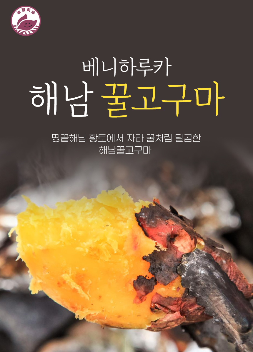 (비세척)해남 꿀고구마 꿀처럼 달달한 꿀고구마