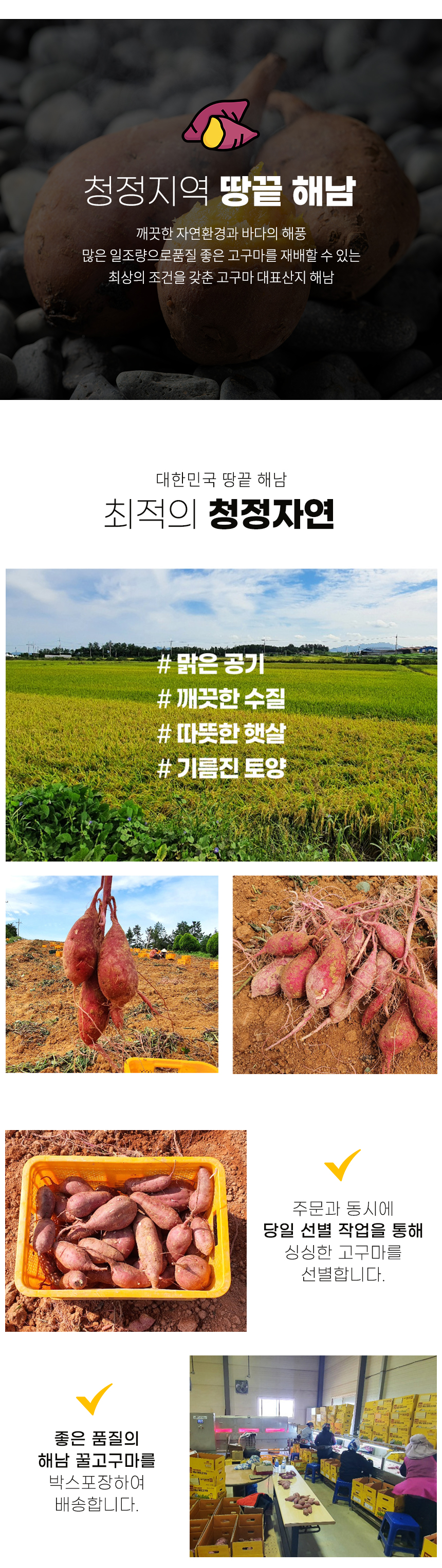 (비세척)해남 꿀고구마 꿀처럼 달달한 꿀고구마