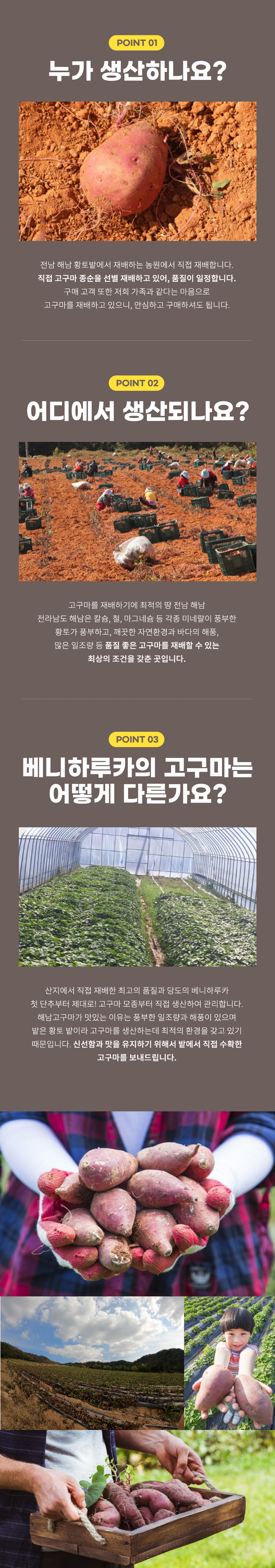 (비세척)해남 꿀고구마 꿀처럼 달달한 꿀고구마