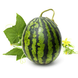 상품