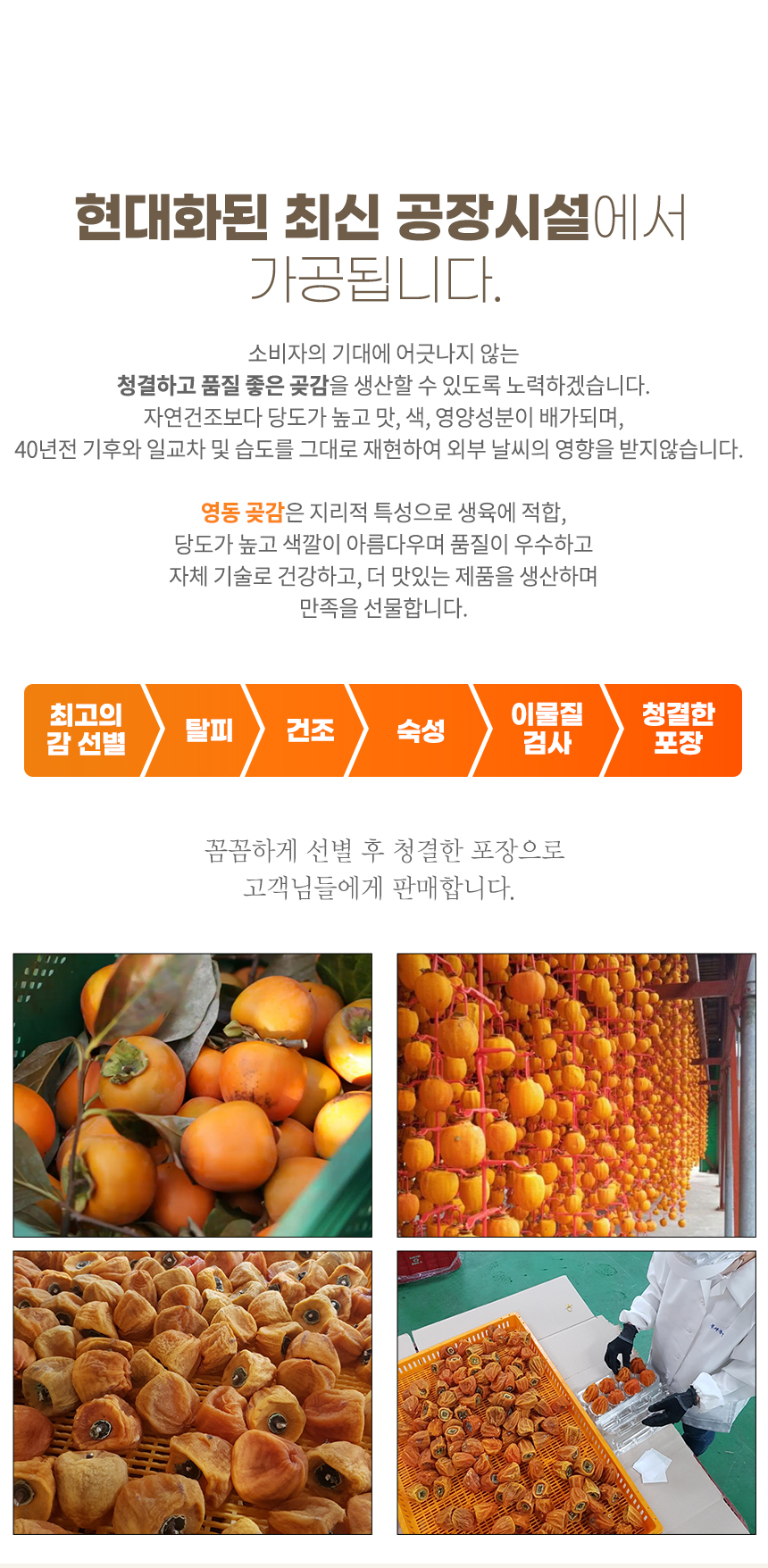 영동 봉지 반건시