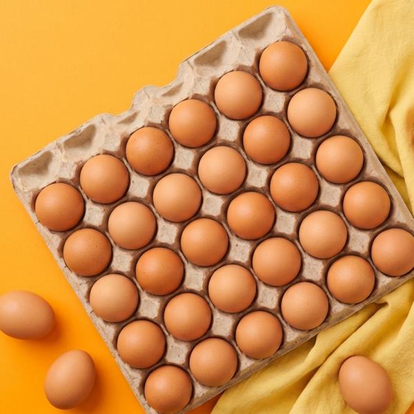 [양계장사람들]무항생제 1등급 생란 30구 특 사이즈