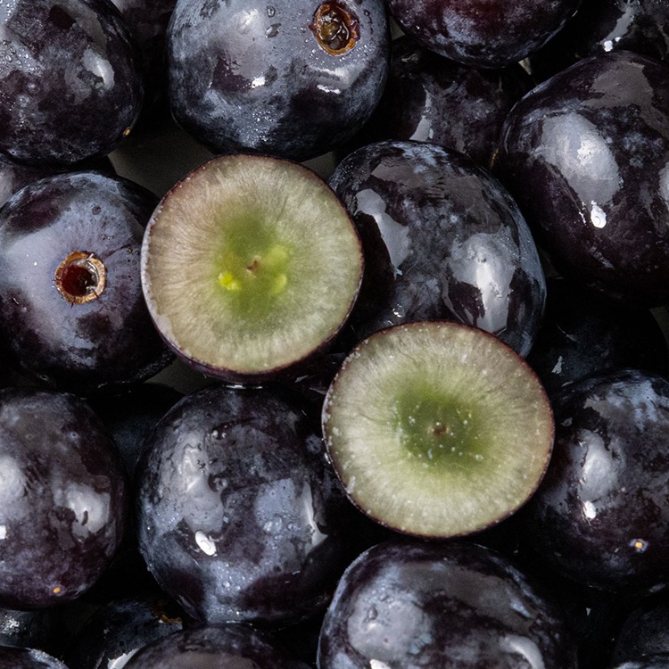 [청년농가]고급 품종 블랙 세이블 포도 1kg/2kg/3kg/4kg